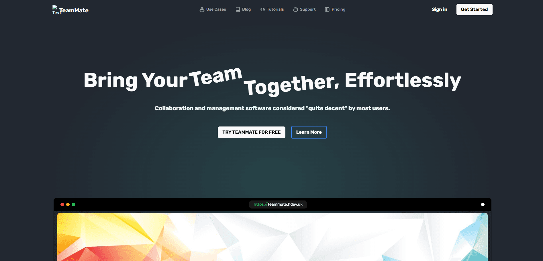 TeamMate Project